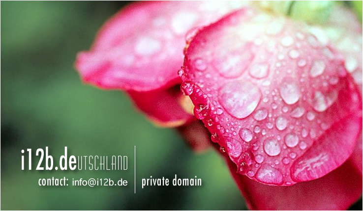 logo.jpg [102 kb] - bitte ein wenig geduld