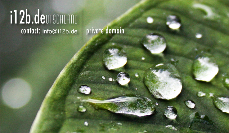 logo.jpg [102 kb] - bitte ein wenig geduld